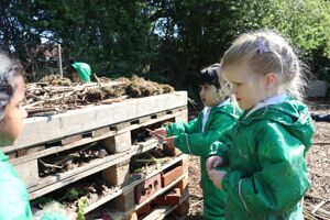 24 05 07 bug hotel 1