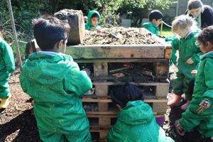 24 05 07 bug hotel 13