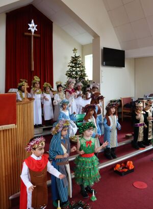 24 12 04 kingfishers nativity 12