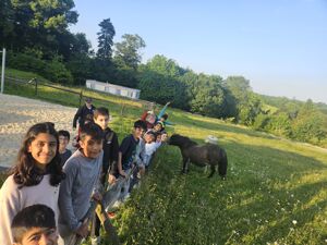 25 05 20 france 54