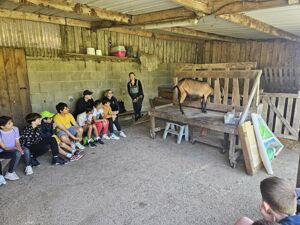 25 05 20 france 177
