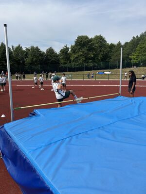 Img 3921
