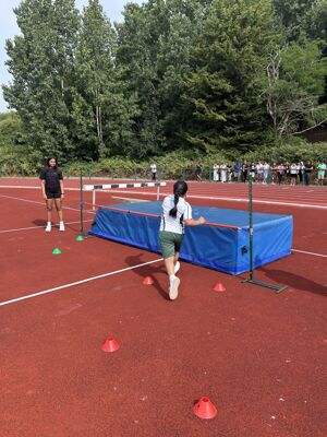 Img 3968