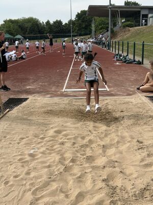 Img 4067