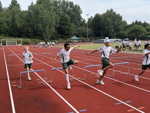 Img 4083