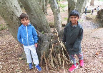 25 07 04 Mad Bess Woods News