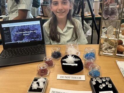 Year 6 Project Exhibition 2025