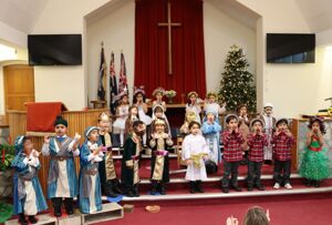25 12 01 owls nativity 7