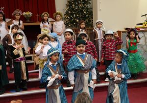 25 12 01 owls nativity 9