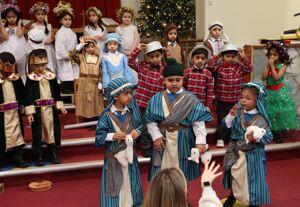 25 12 01 owls nativity 10