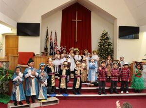 25 12 01 owls nativity 12